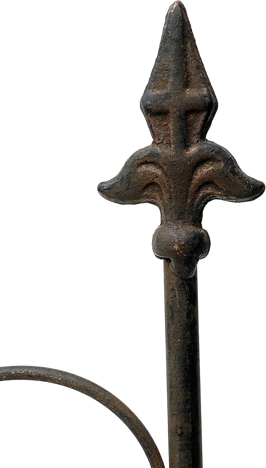 DanDiBo Rankhilfe Metall Blumengitter 60 cm Freistehend Rankgitter 96016 Steckzaun Kletterhilfe Stab