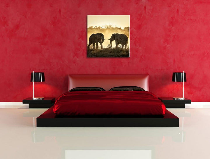 kämpfende Elefanten, Format: 70x70 auf Leinwand, XXL riesige Bilder fertig gerahmt mit Keilrahmen, K