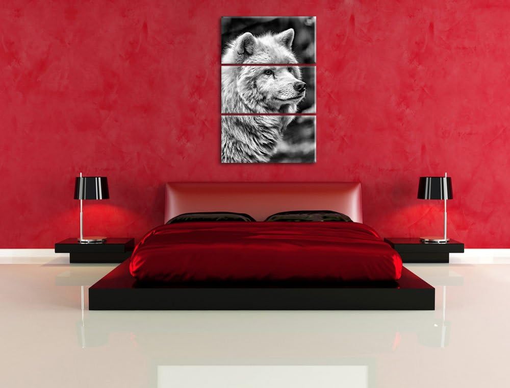 Pixxprint prächtiger Polarwolf als Leinwandbild/Grösse: 3 Teilig (120x80) cm/Wandbild/Kunstdruck/fer