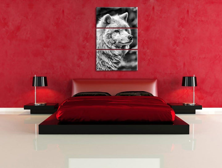 Pixxprint prächtiger Polarwolf als Leinwandbild/Grösse: 3 Teilig (120x80) cm/Wandbild/Kunstdruck/fer