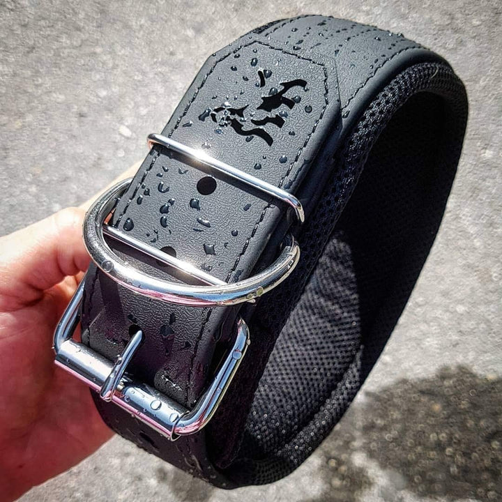 Bestia Dog Sport Halsband XXL - von 65 cm bis 75 cm, XXL - von 65 cm bis 75 cm