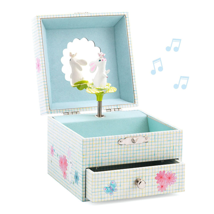 Djeco DJ06596 Musical Boxes, Mixed