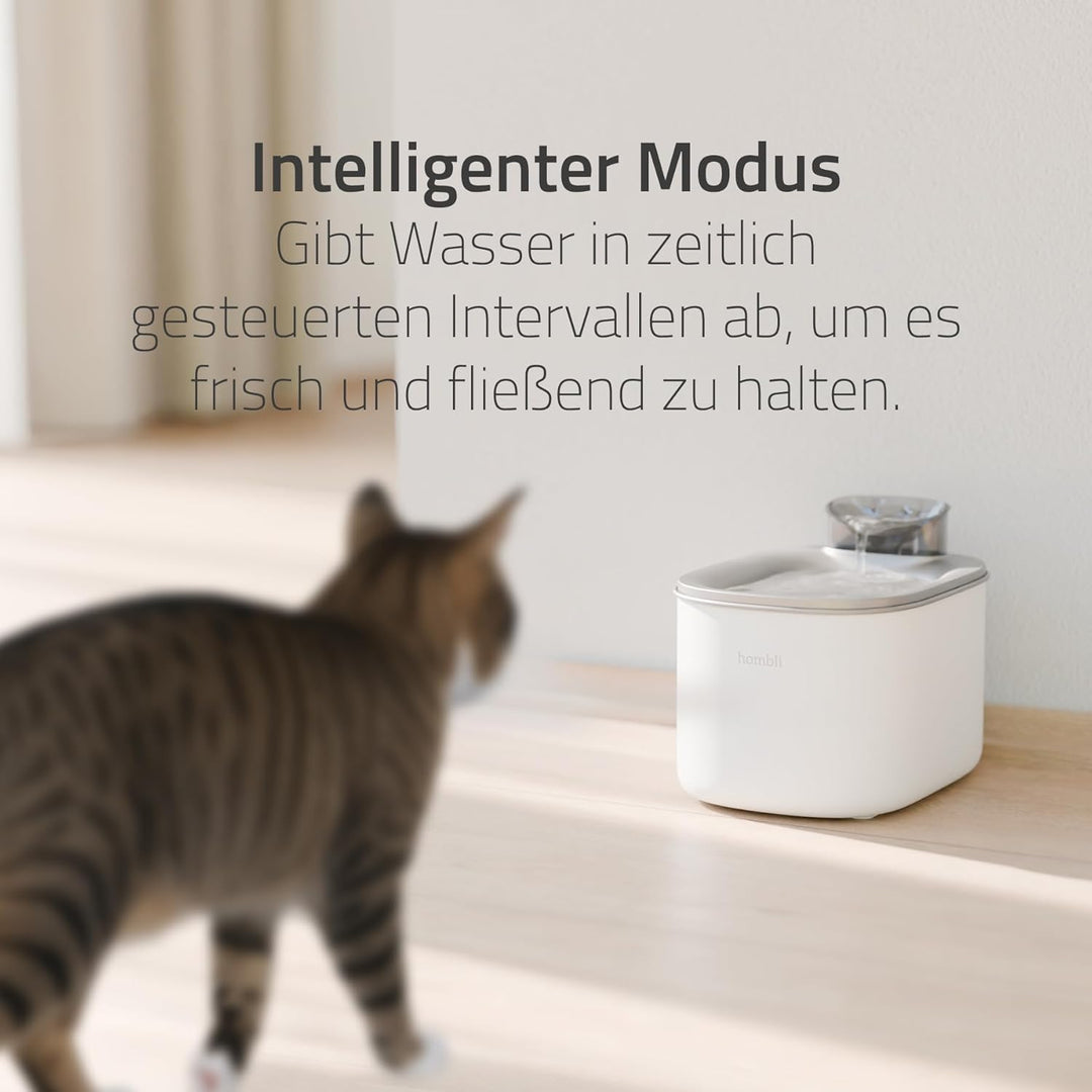 Hombli Smarter Trinkbrunnen für Haustiere, 3,5l Volumen, leise, Edelstahl-Napf, Filter- und Wasserst