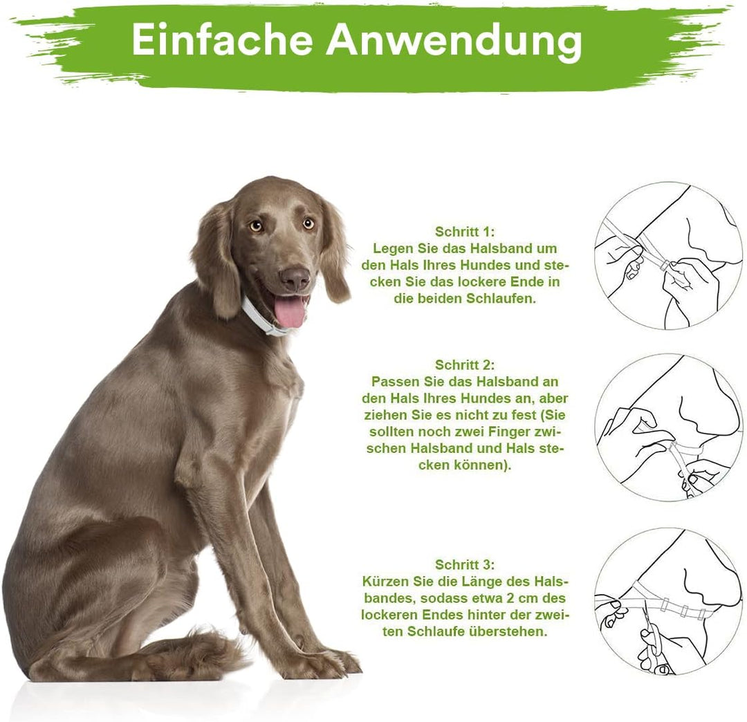 MC-Royal® Premium Zeckenhalsband für Hunde - Effektiver Schutz vor Ungeziefern - wasserdicht und ver