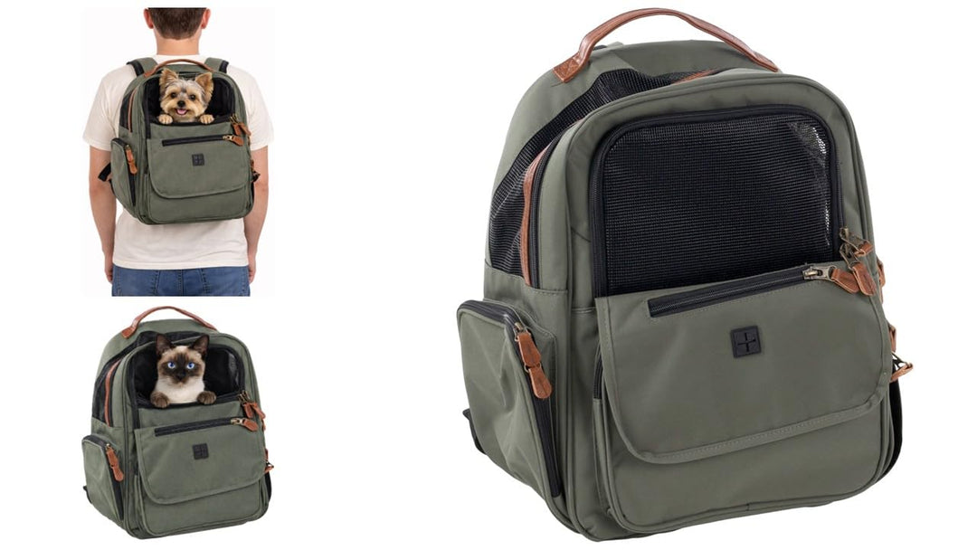 Hunderucksack - Rucksack Wiro Grün – 40x25x41cm – Polyester – verstärkte Rückenwand – Abnehmbarer Bo