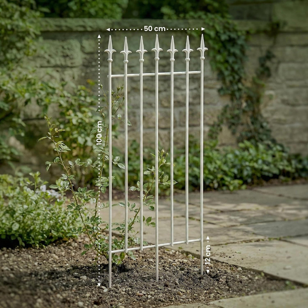 CLP Rankgitter Metall 100x50 cm Elisa, Kletterhilfe stabil für Rosen und Efeu, Pflanzgitter im Jugen