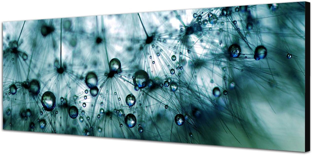Paul Sinus Art Panoramabild auf Leinwand und Keilrahmen 120x40cm Pusteblume Löwenzahn Wassertropfen