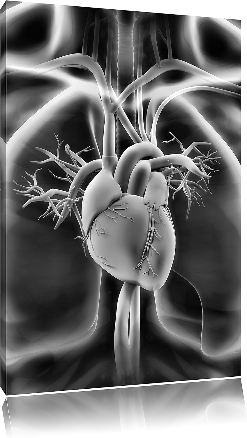 Pixxprint Herz des Menschen als Leinwandbild/Grösse: 100x70 cm/Wandbild/Kunstdruck/fertig bespannt,