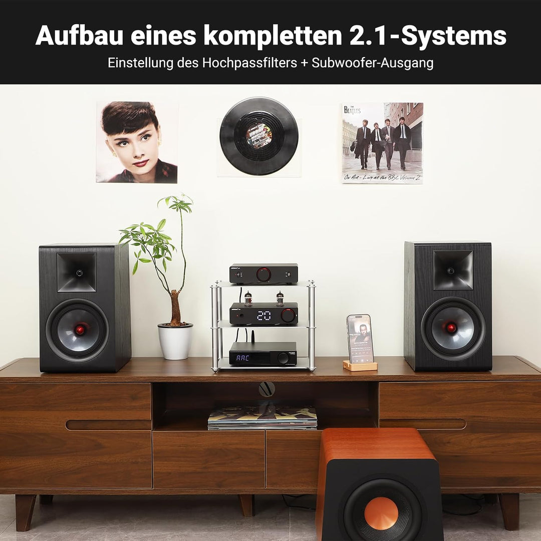 AIYIMA A20 Symmetrischer Stereoverstärker mit HPF-Einstellung Home HiFi 2.0/2.1 TPA3255 Desktop-Vers