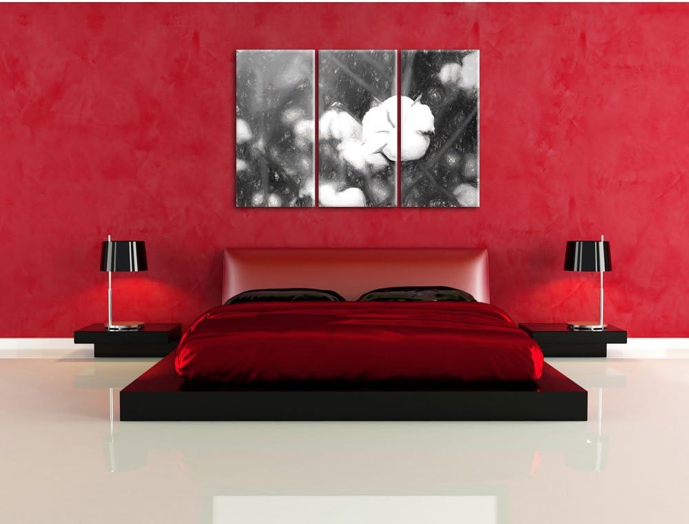 Pixxprint eine ausgereifte Knospe voller Baumwolle Kunst Kohle Effekt 3-Teiler Leinwandbild 120x80 B