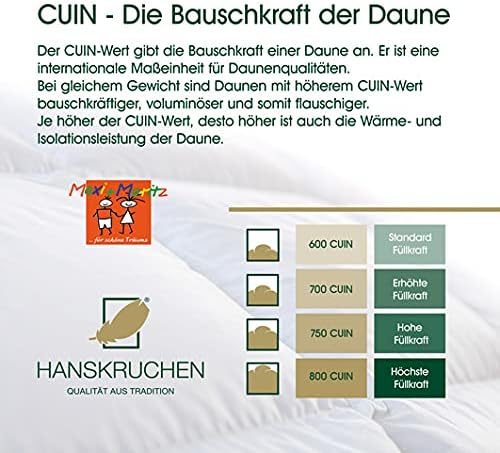HANSKRUCHEN® Maxi und Moritz Daunen Kinderbettdecke 135x100 cm - Sommer / Übergang - Made in Germany