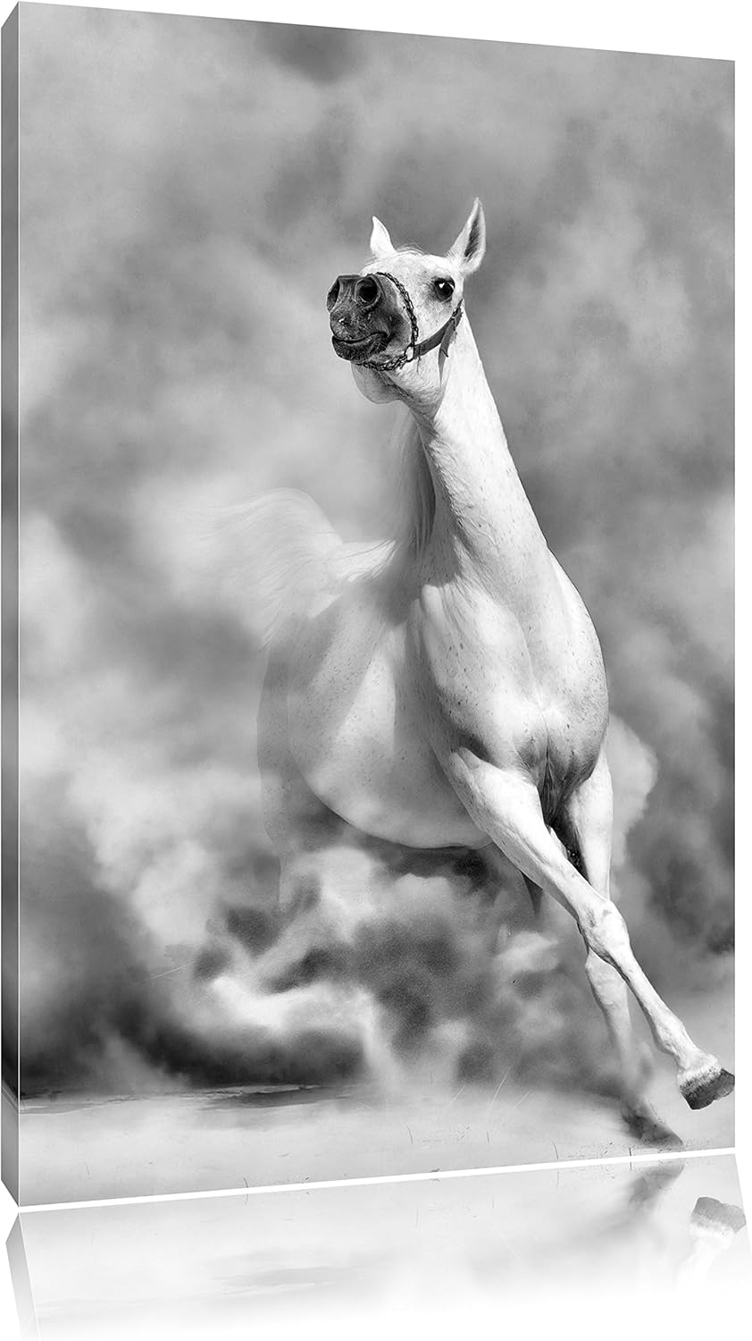 Pixxprint Weisses Pferd in der Wüste als Leinwandbild | Grösse: 100x70 cm | Wandbild | Kunstdruck |