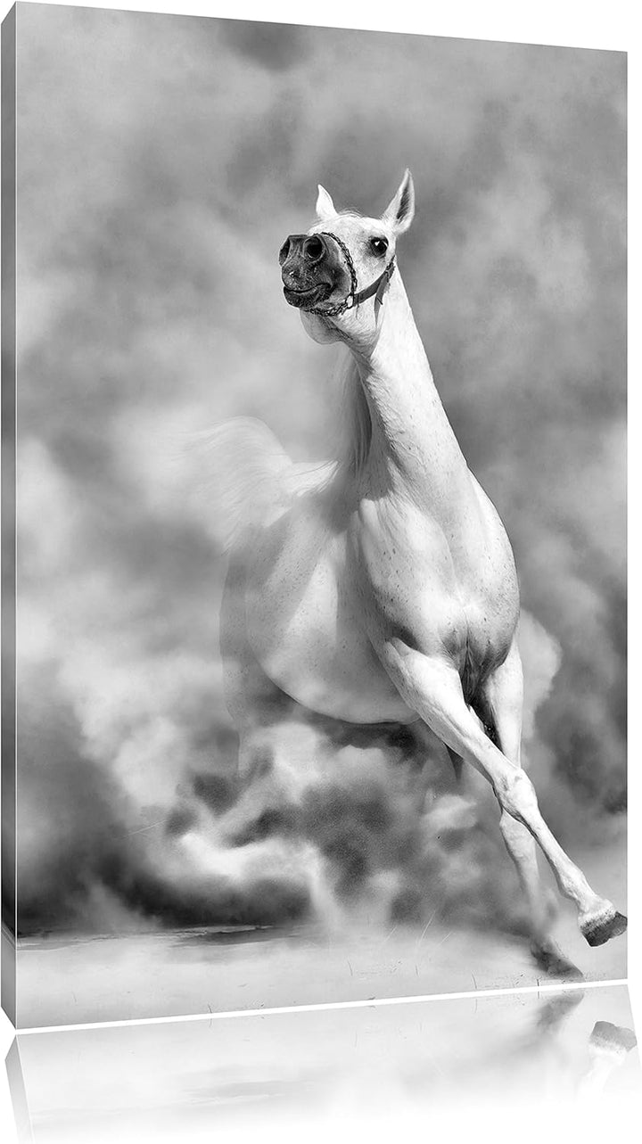 Pixxprint Weisses Pferd in der Wüste als Leinwandbild | Grösse: 100x70 cm | Wandbild | Kunstdruck |