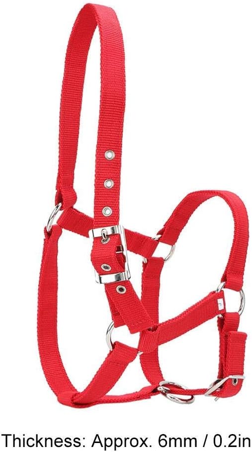 YOUTHINK Horse Halter High Density 6Mm Verdicktes Gurtband Horse Bridle Control Halfter Reitzubehör