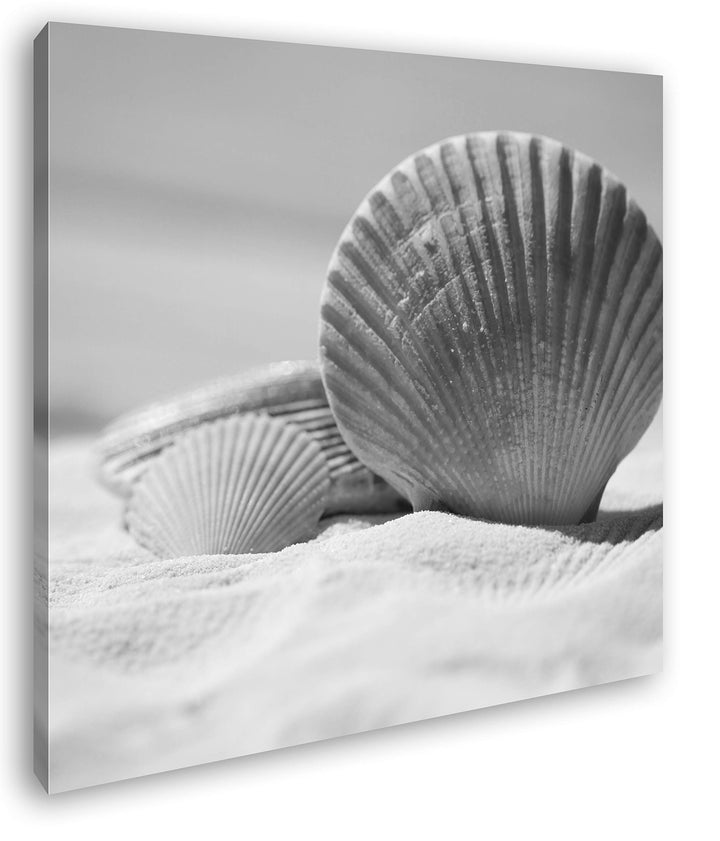 deyoli Klassische Muscheln im Sand Format: 70x70 Effekt: Schwarz&Weiss als Leinwandbild, Motiv ferti