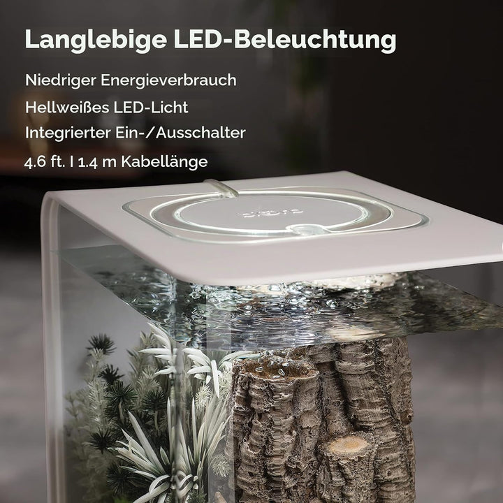 biOrb 72034 FLOW 30 LED in weiss – elegantes Design-Aquarium Komplett-Set mit Filter-System, LED-Bel