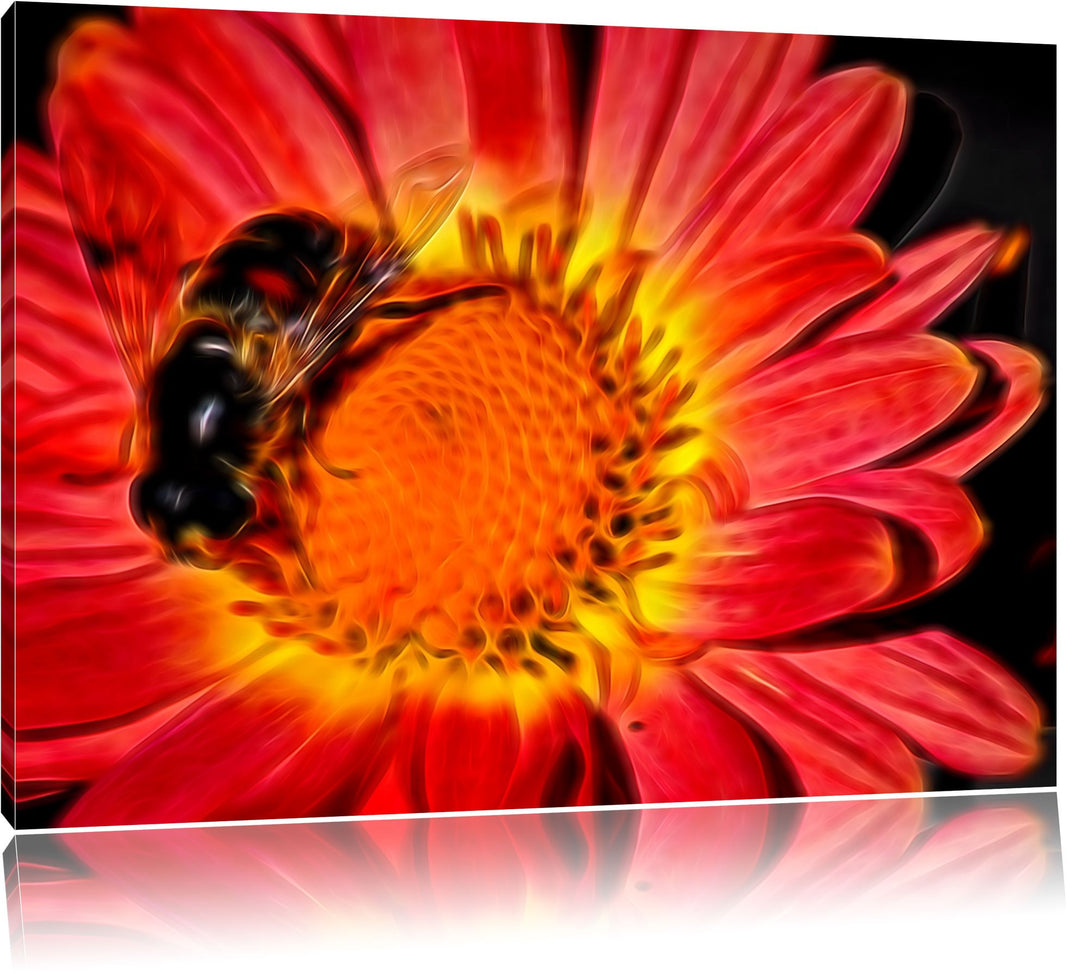 winzige Biene auf Margarete schwarz/weiss Deluxe Format: 100x70 cm auf Leinwand, XXL riesige Bilder