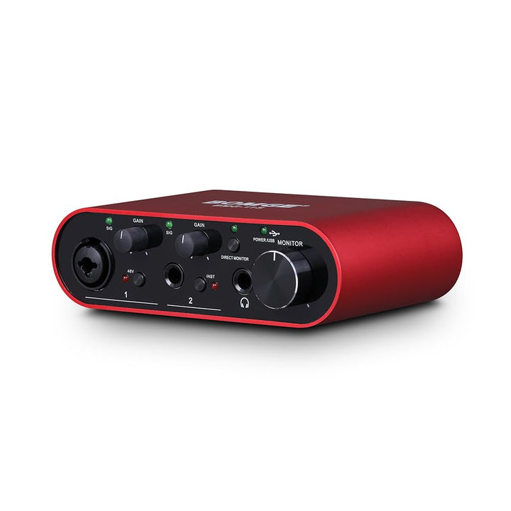 BOMGE BMG11S USB-Audio-Schnittstelle (24 Bit/192 kHz) mit XLR, 48 V Phantomspeisung, für Gitarristen