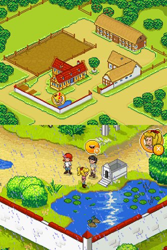 Das grosse Unwetter - [Nintendo DS]