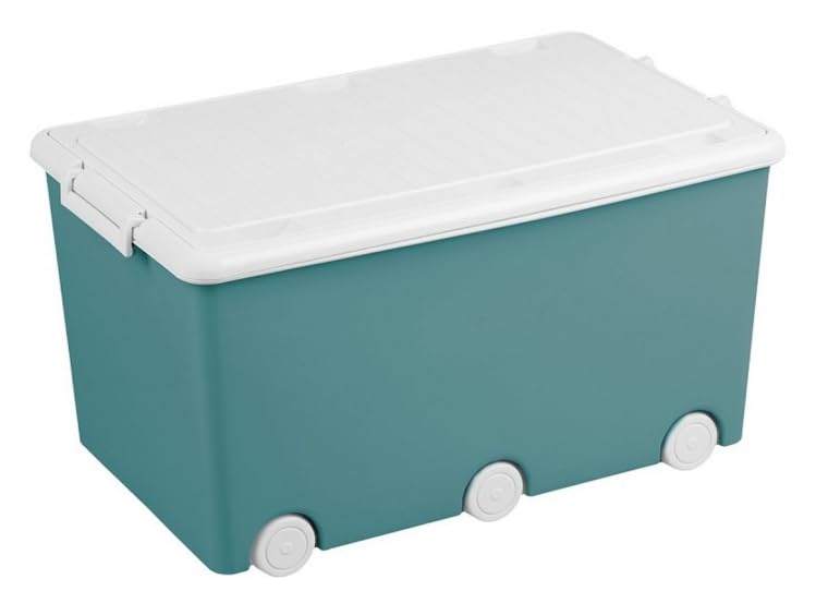 BDW Aufbewahrungsbox mit Deckel - Kiste für Kinderzimmer, Kindergarderobe, Sortierbox - Spielzeug Au