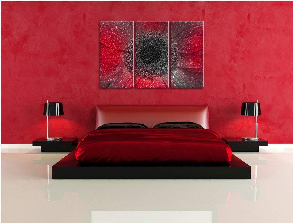 Pixxprint Rote Gerbera mit Wassertropfen als Leinwandbild | Grösse: 3 Teilig (120x80) | Wandbild| Ku