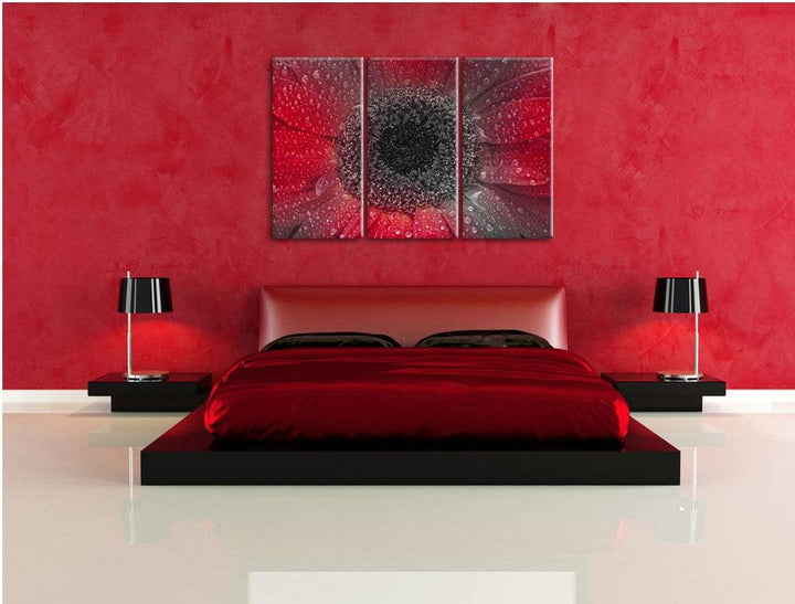 Pixxprint Rote Gerbera mit Wassertropfen als Leinwandbild | Grösse: 3 Teilig (120x80) | Wandbild| Ku