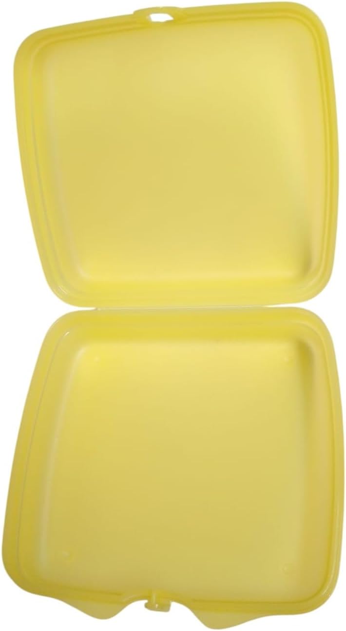 Tupperware Sandwich-Box Aufbewahrungsbox Brotdose quadratisch Sandwichbox Pausenbrot Kindergarten Ar