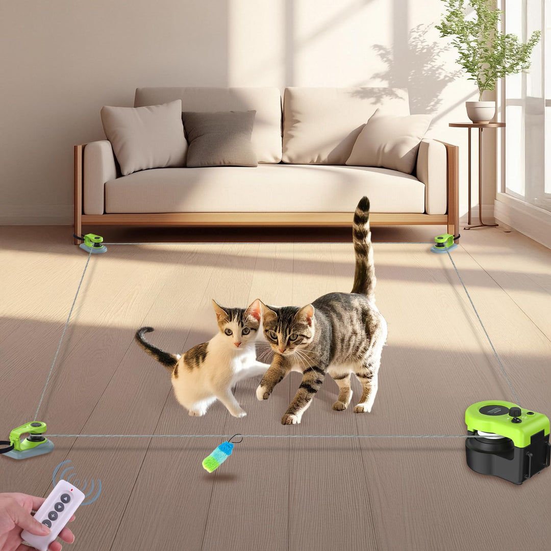 ITSHINY Katzenspielzeug Elektrisch, Katzenspielzeug Selbstbeschäftigung mit anpassbaren Laufwegen, A