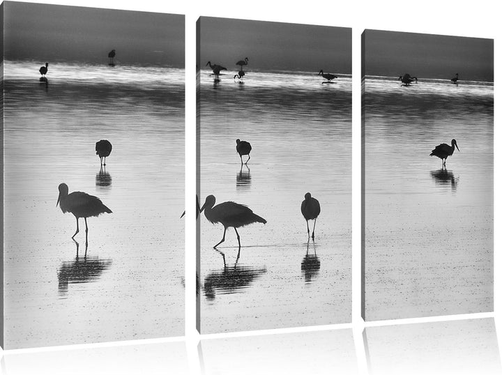Pixxprint Pelikanschwarm im Wasser als Leinwandbild/Grösse: 3 Teilig (120x80) cm/Wandbild/Kunstdruck