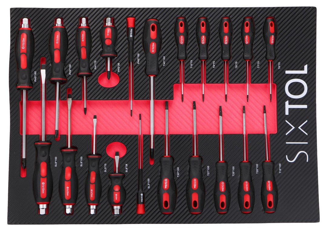Modul mit Werkzeug für Werkstattwagen MECHANIC TOOL TRAY 8, 21 St. 21-tlg. Schraubendreher Set, 21-t