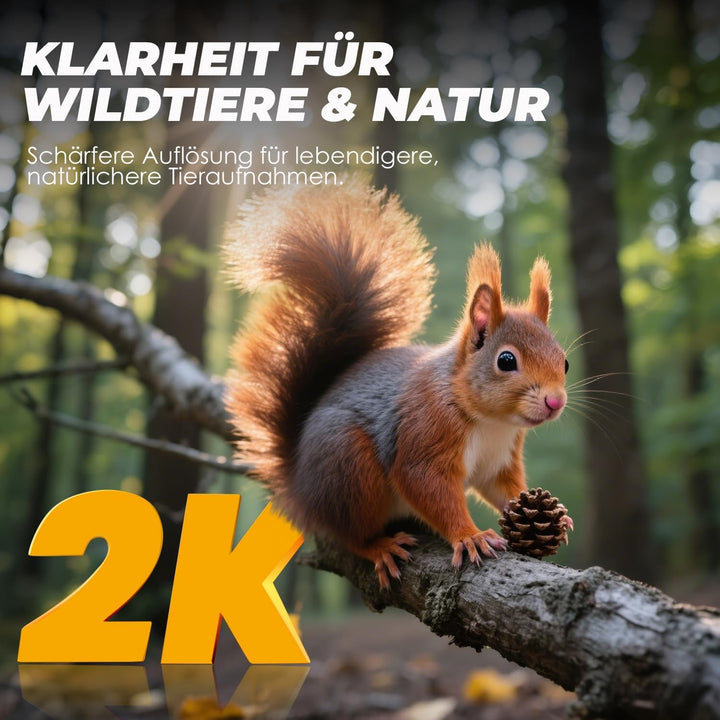 CEYOMUR Wildkamera 20MP 1080P, 850nm IR LEDs Wildkamera mit Bewegungsmelder Nachtsicht, Wildtierkame