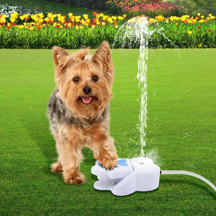 Haustierhundwasserbrunnen Spielzeug Trinken Sie zum Trinken, Hundewasser -Sprinklerpfote im Freien,