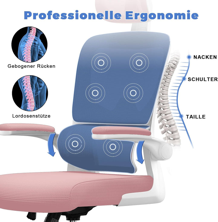 naspaluro Ergonomischer Bürostuhl: Schreibtischstuhl mit C-förmiger Lordosenstütze,Verstellbarer Kop