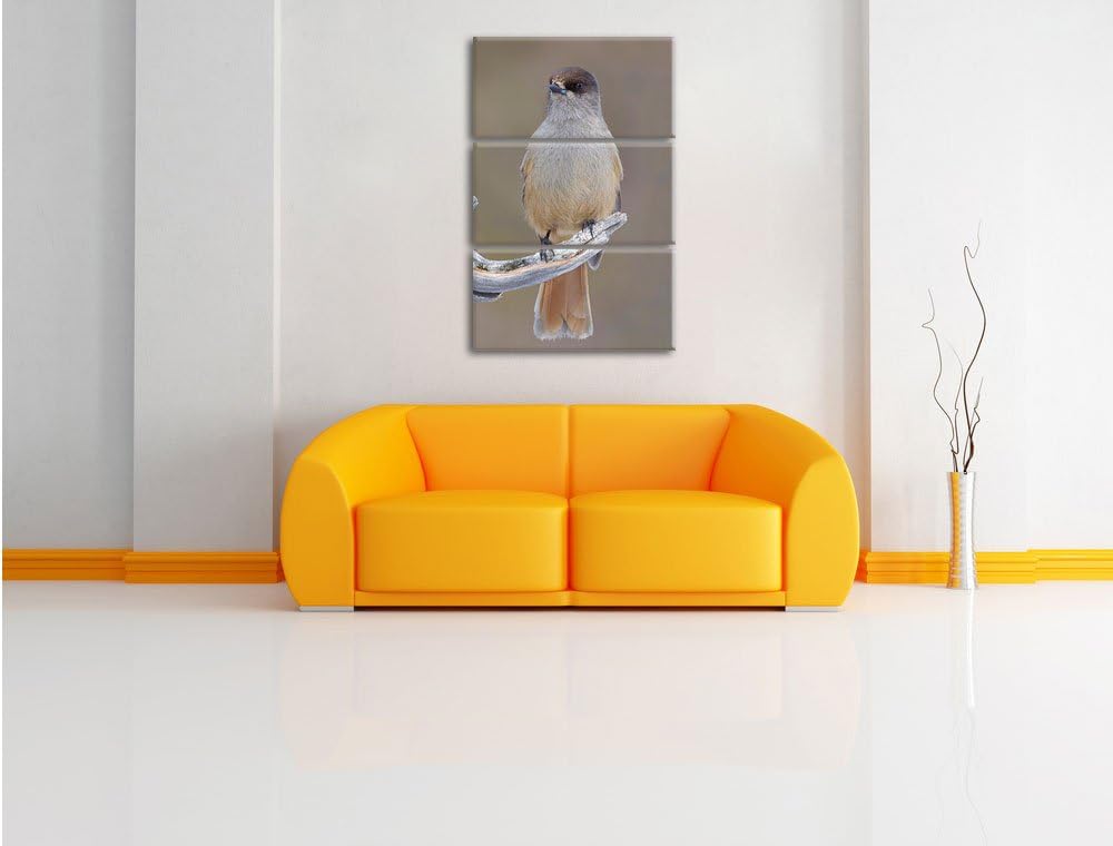 Pixxprint Kleiner Vogel auf AST als Leinwandbild/Grösse: 3 Teilig (120x80) cm/Wandbild/Kunstdruck/fe