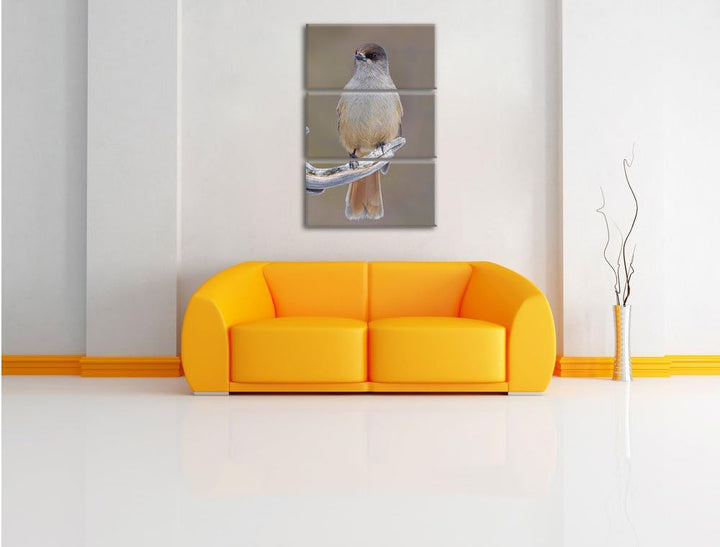Pixxprint Kleiner Vogel auf AST als Leinwandbild/Grösse: 3 Teilig (120x80) cm/Wandbild/Kunstdruck/fe