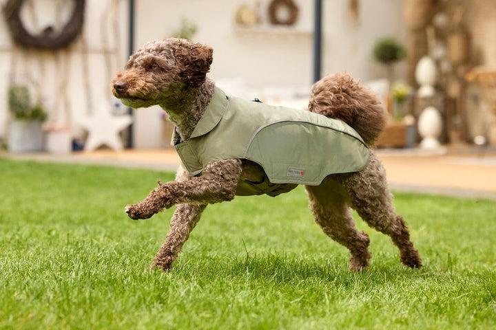 Wolters Cat &amp; Dog Wolters Regenjacke Easy Rain für Dackel., Grösse:38 cm, Farbe:mossgrün