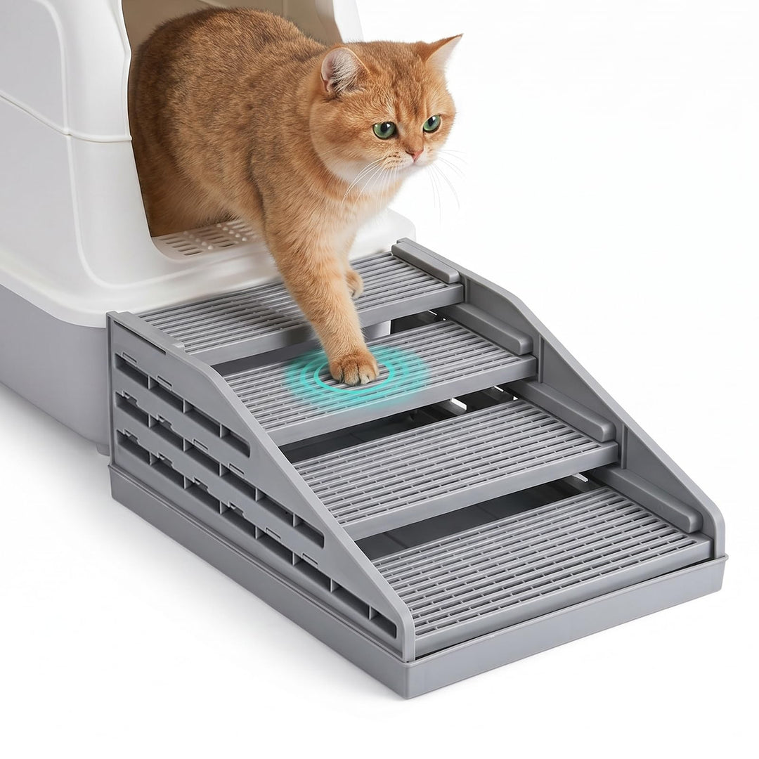 Katzenstreu Rampe mit Höhenverstellung - rutschfeste Katzentoilettenstufe mit Filterfunktion - Katze