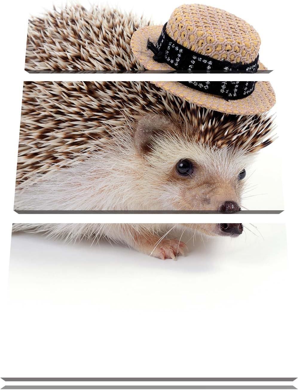 Pixxprint Lustiger Igel mit Hut als Leinwandbild/Grösse: 3 Teilig (120x80) cm/Wandbild/Kunstdruck/fe