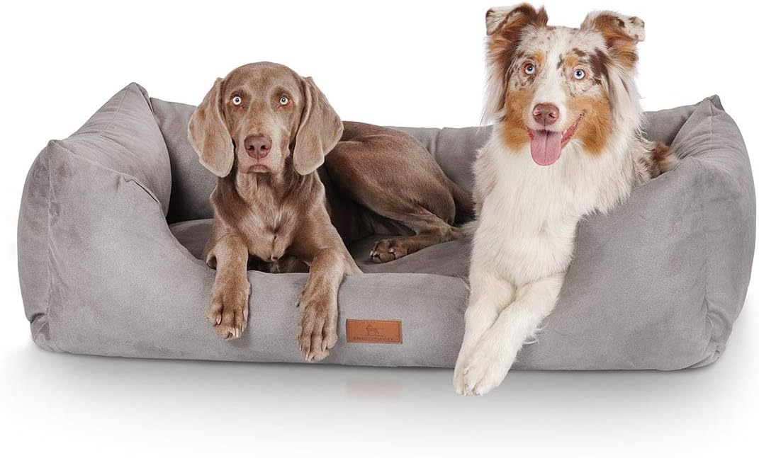 Knuffelwuff Hundebett Dreamline aus Velours XXL 120 x 85cm Grau