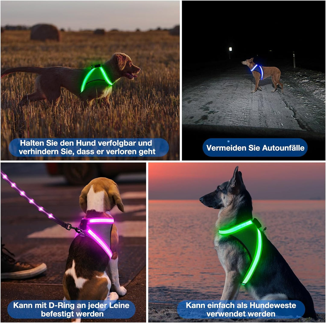 ChalkLit LED Leuchtendes Hundegeschirr USB Wiederaufladbares Vollständig Beleuchtetes Hundegeschirr
