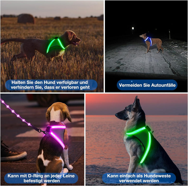 ChalkLit LED Leuchtendes Hundegeschirr USB Wiederaufladbares Vollständig Beleuchtetes Hundegeschirr