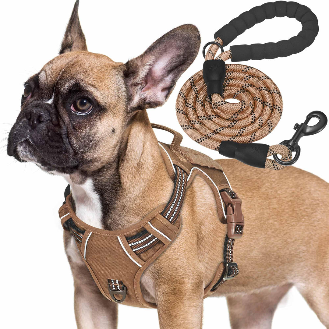 Haapaw Heavy Duty Taktisches Hundegeschirr für mittelgrosse Hunde, kein Zug Verstellbares Haustierge