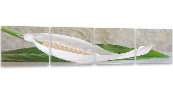 Feeby. Leinwandbild, Bilder, Wand Bild - 4 Teile - Panoramabild, Wandbilder, Kunstdruck 200x50 cm, A
