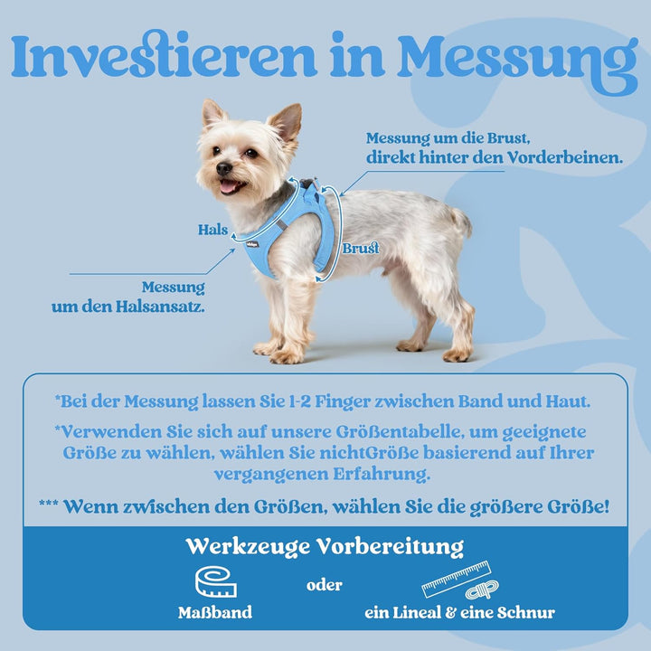 rabbitgoo Hundegeschirr Kleine Hunde, Step-in Welpengeschirr Weich Mesh für Spaziergänge, Atmungsakt