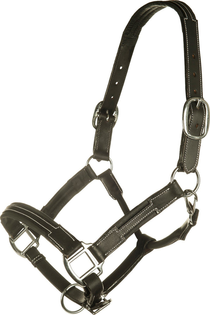 HKM Lederhalfter -Soft- braun thoroughbred, braun thoroughbred