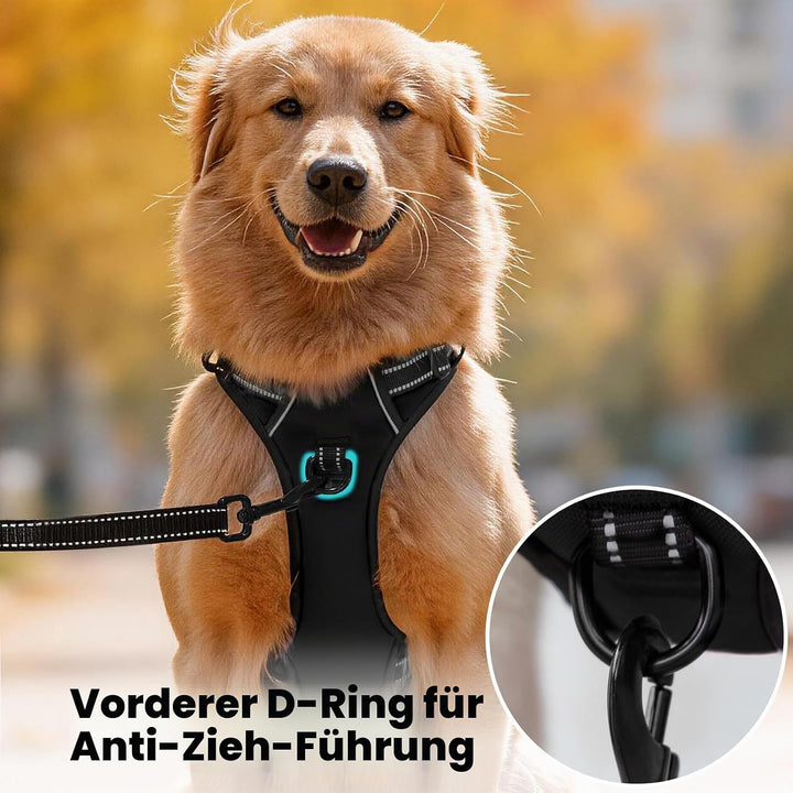 PoyPet No Pull Hundegeschirr, reflektierendes Westengeschirr mit 2 Leinenbefestigungen und einfachem