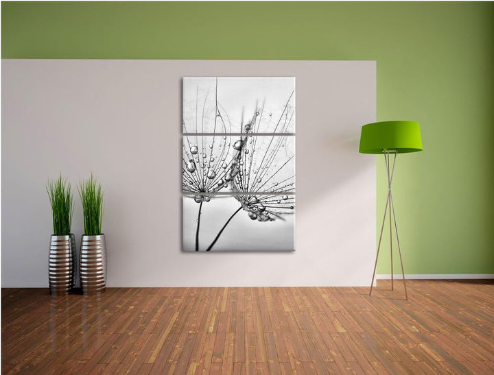 Pixxprint Monocrome, Pusteblumen mit Tautropfen 3-Teiler Leinwandbild 120x80 Bild auf Leinwand