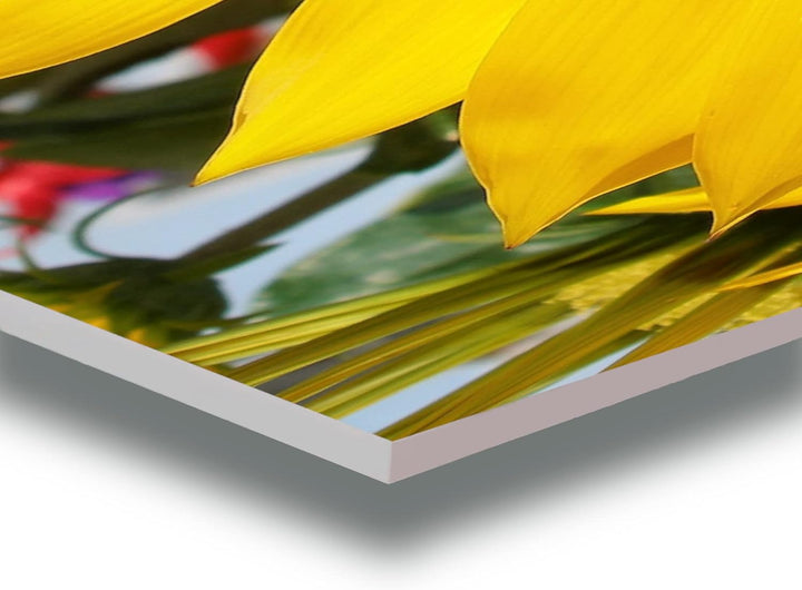 WunschPIXEL – Wandbild Blumen auf weissem Acrylglas, Set 4-teilig je 20x20 cm, quadratisch, Sommerbl