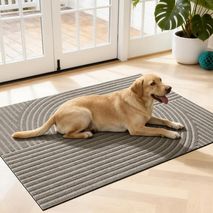 Schmutzfangmatte Innen Aussen 50x80cm, rutschfeste Fussmatte mit Saugkraft, Fussmatte Waschbar Langl