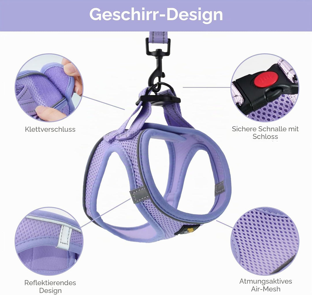 BELLA &amp; PAL Hundegeschirr Kleine Hunde mit Leine, Step-in Geschirr aus Air Mesh, Anti Zug Reflektier